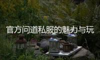 官方问道私服的魅力与玩家体验解析