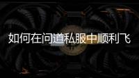 如何在问道私服中顺利飞升，提升角色实力