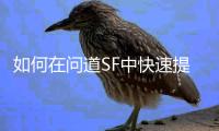 如何在问道SF中快速提升战力与等级
