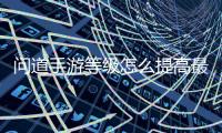 问道手游等级怎么提高最快(问道手游如何提高等级)